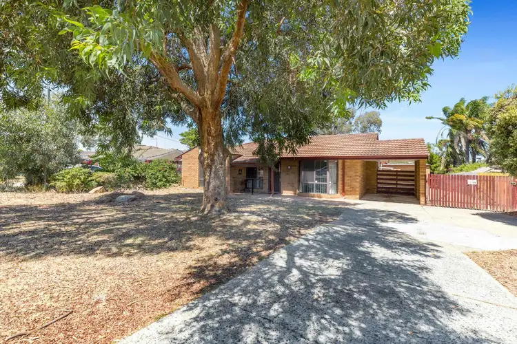 10 Grassbird Loop, Yangebup WA 6164