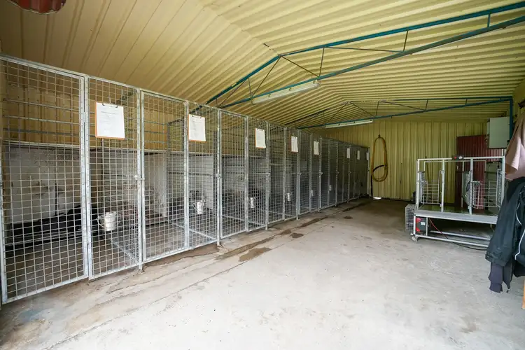Third view of Homely rural property listing, 1305 Castlereagh Highway, Lidsdale NSW 2790