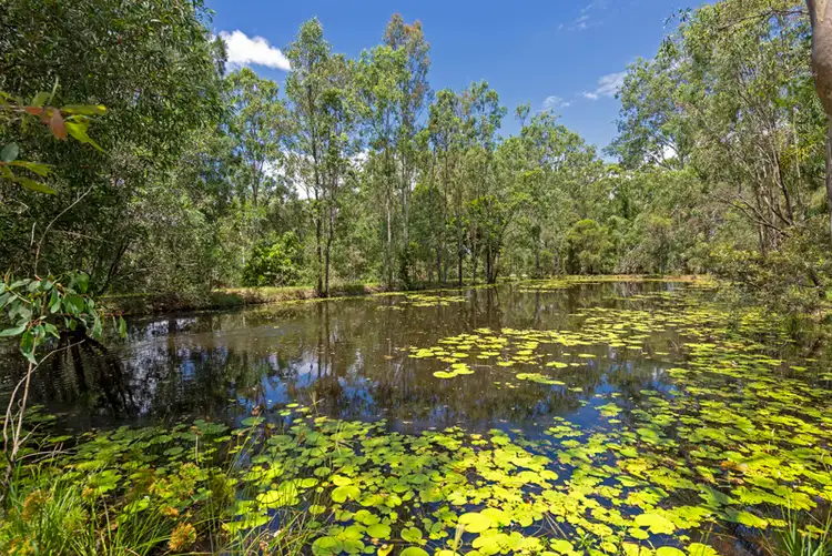 Fourth view of Homely rural property listing, 7-11 Carlie Court, Tamborine QLD 4270