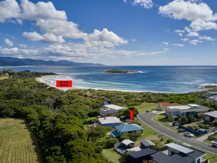 Main view of Homely house listing, 31 Redbill Drive, Bicheno TAS 7215