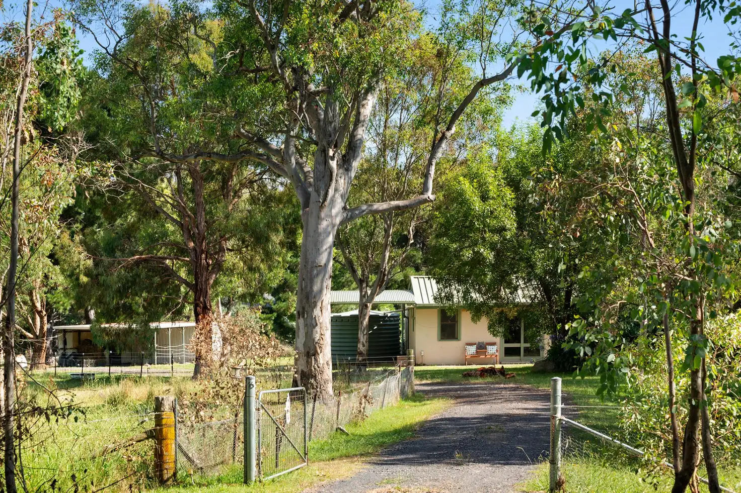 Main view of Homely house listing, 16 Kinsman Drive, Murrumbateman NSW 2582