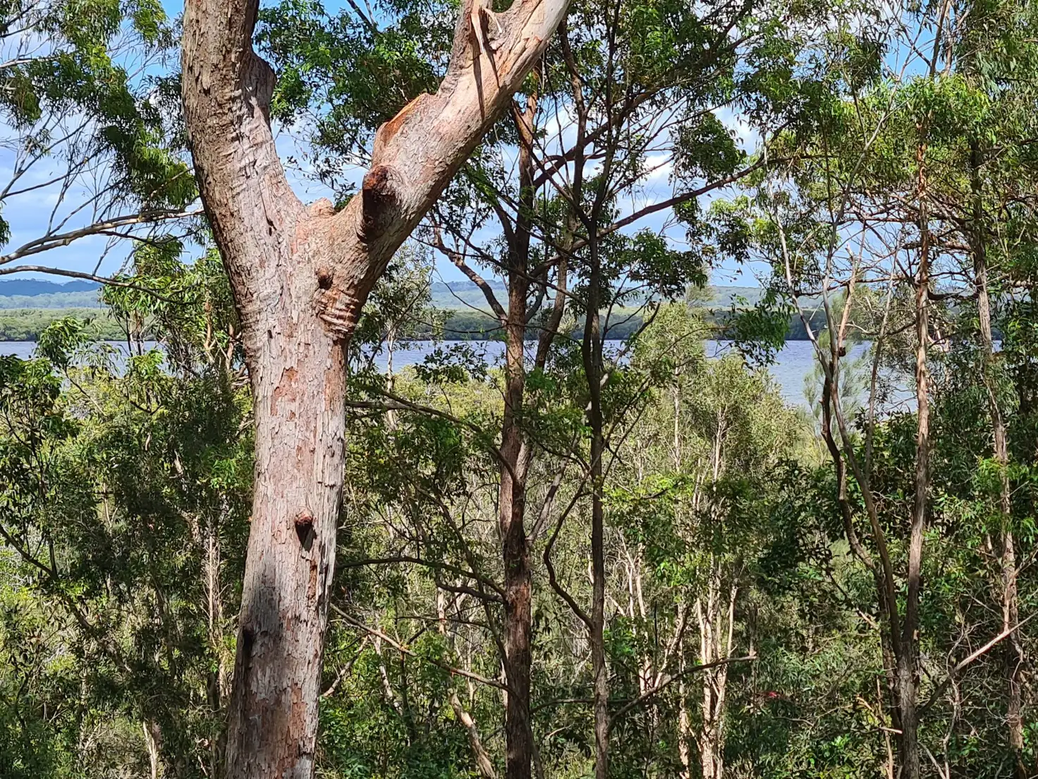 Main view of Homely land listing, 52 Deenya Parade, Russell Island QLD 4184