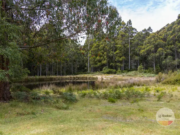 Third view of Homely land listing, 39 Tyenna Road, Lots 1, 2, 3 & 4, Tyenna TAS 7140