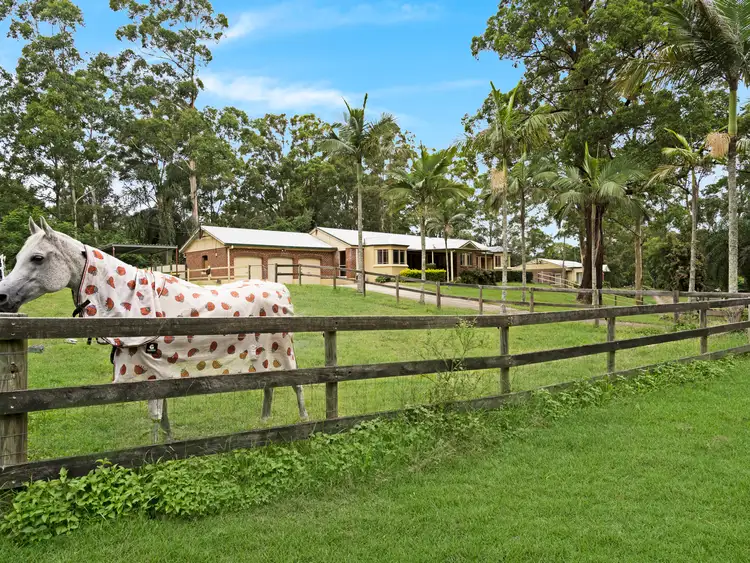 Second view of Homely house listing, 59 Harry Mills Drive, Worongary QLD 4213