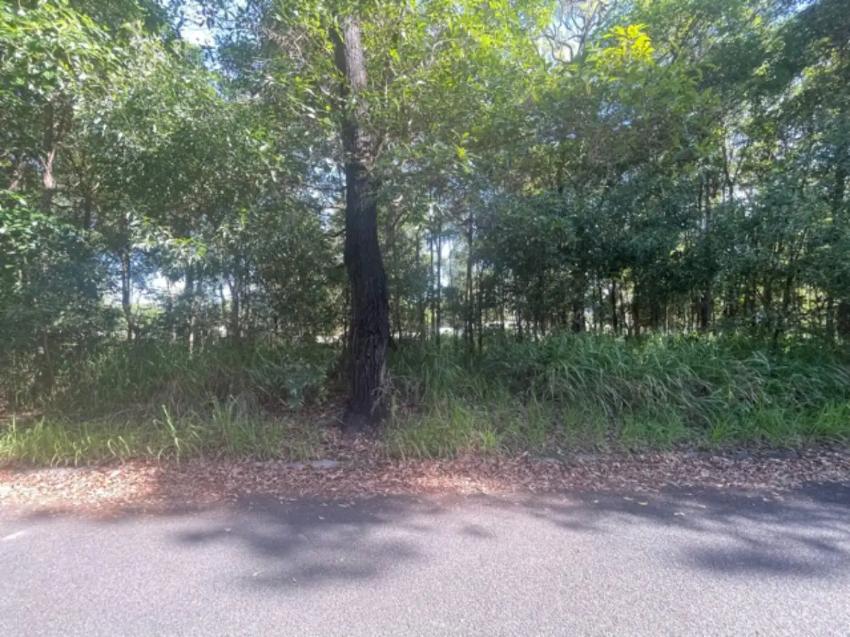 Main view of Homely land listing, 6 Bangalow, Russell Island QLD 4184