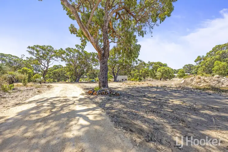 Fourth view of Homely land listing, 62 Oregano Drive, Two Rocks WA 6037