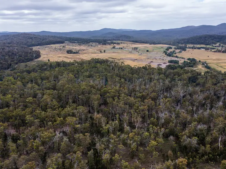 Third view of Homely land listing, PID 679270 Tasman Hwy, St Helens TAS 7216