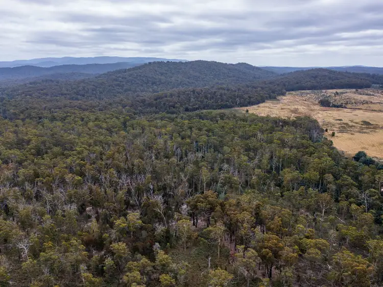 Fifth view of Homely land listing, PID 679270 Tasman Hwy, St Helens TAS 7216