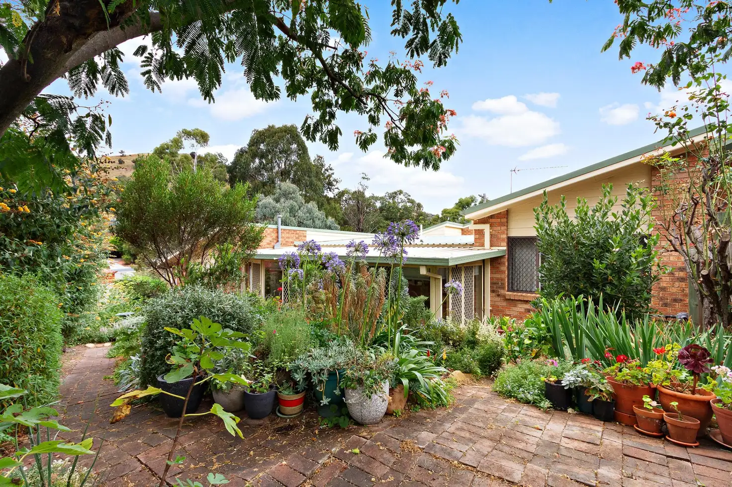 Main view of Homely house listing, 9 Jay Place, Theodore ACT 2905