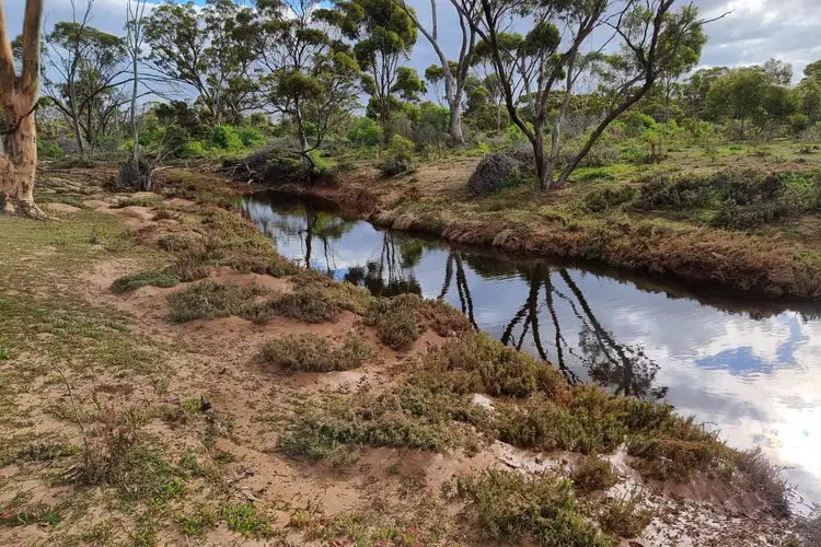 Main view of Homely rural property listing, Lot 900 South Coast Highway, Ravensthorpe WA 6346