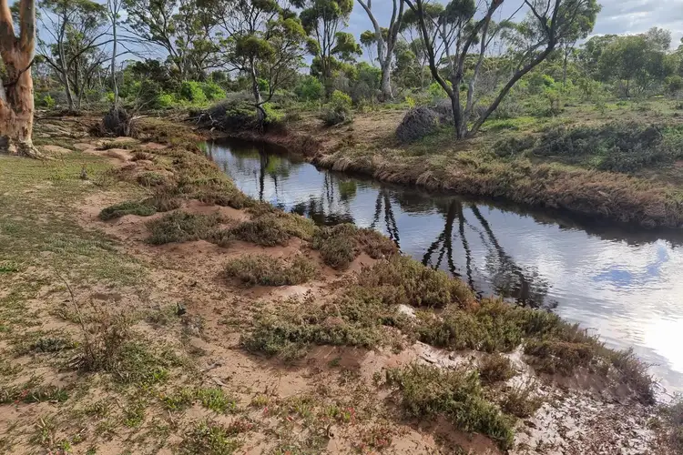 Third view of Homely rural property listing, Lot 900 South Coast Highway, Ravensthorpe WA 6346