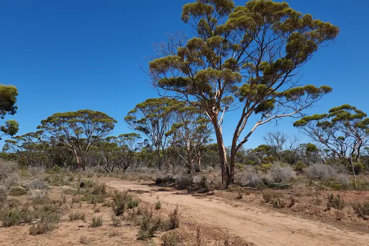 Seventh view of Homely rural property listing, Lot 900 South Coast Highway, Ravensthorpe WA 6346