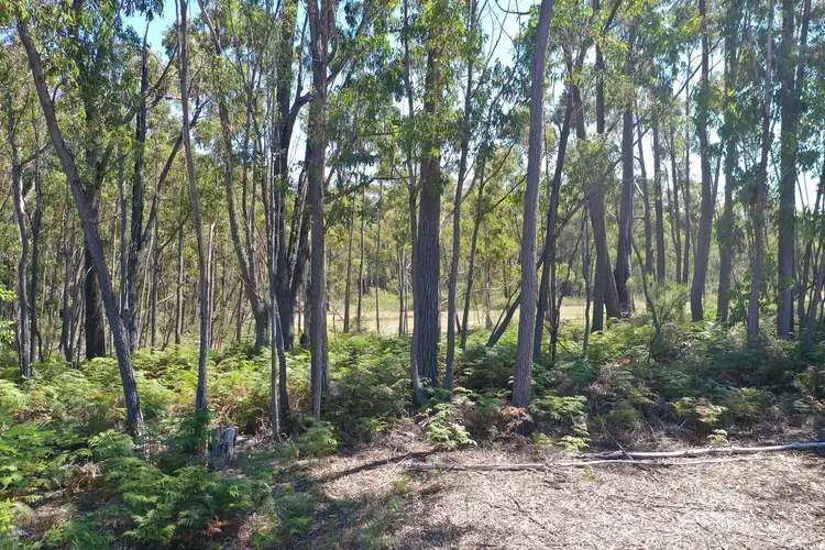 Seventh view of Homely land listing, 94 Baades Road, Lakes Entrance VIC 3909