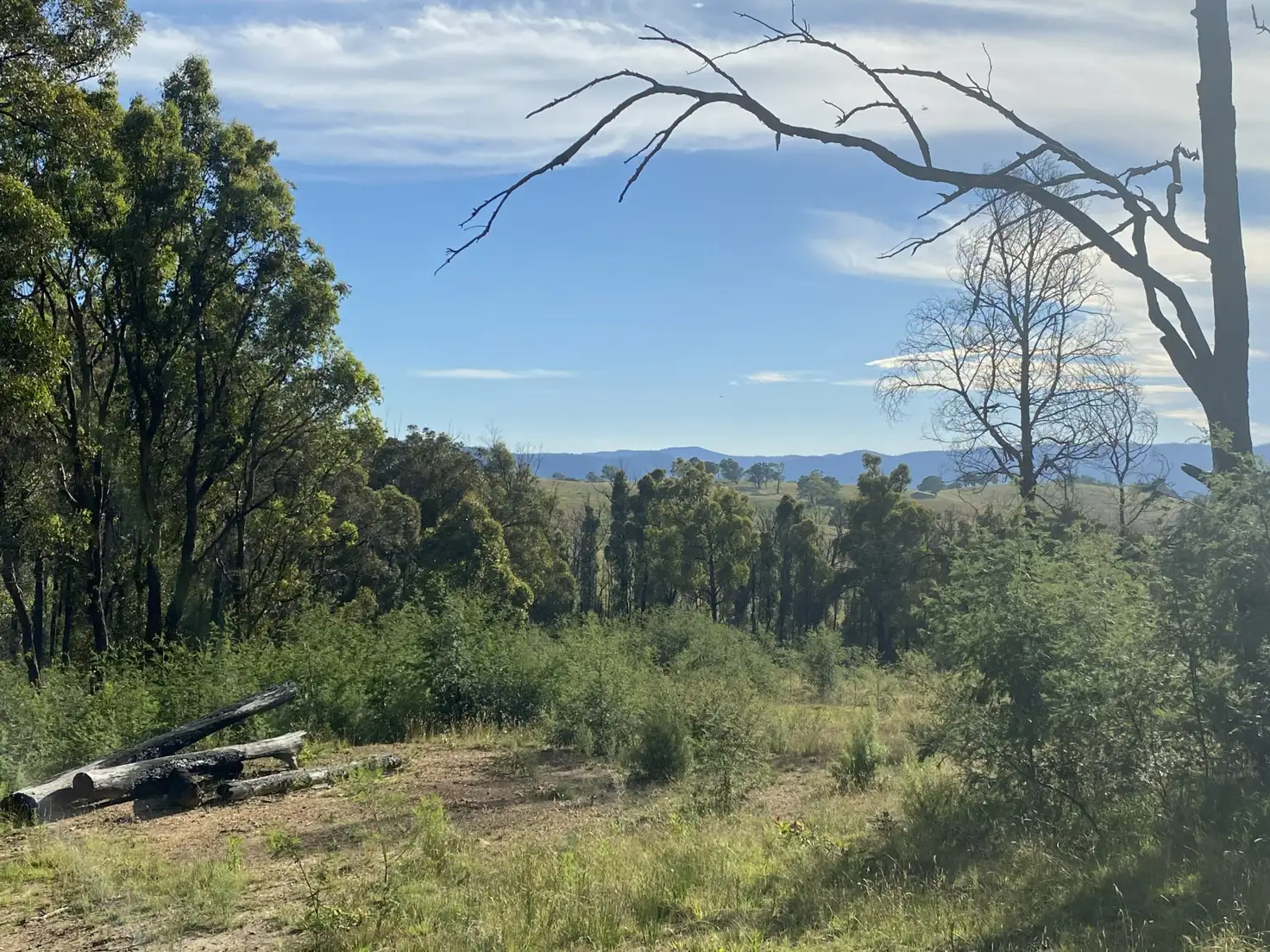 Main view of Homely rural property listing, 528 Hammonds Road, Reedy Flat VIC 3895
