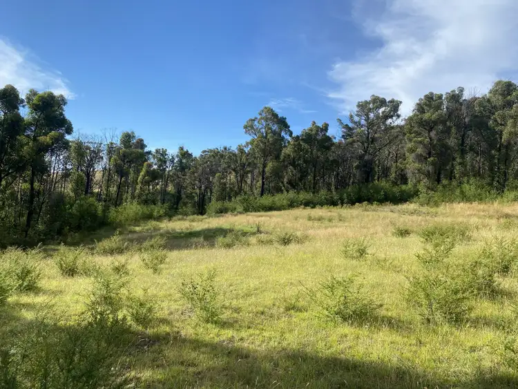 Second view of Homely rural property listing, 528 Hammonds Road, Reedy Flat VIC 3895