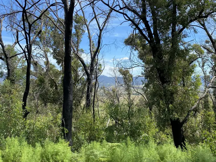 Third view of Homely rural property listing, 528 Hammonds Road, Reedy Flat VIC 3895