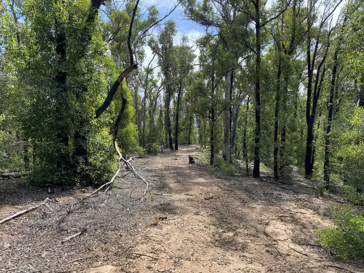 Fourth view of Homely rural property listing, 528 Hammonds Road, Reedy Flat VIC 3895