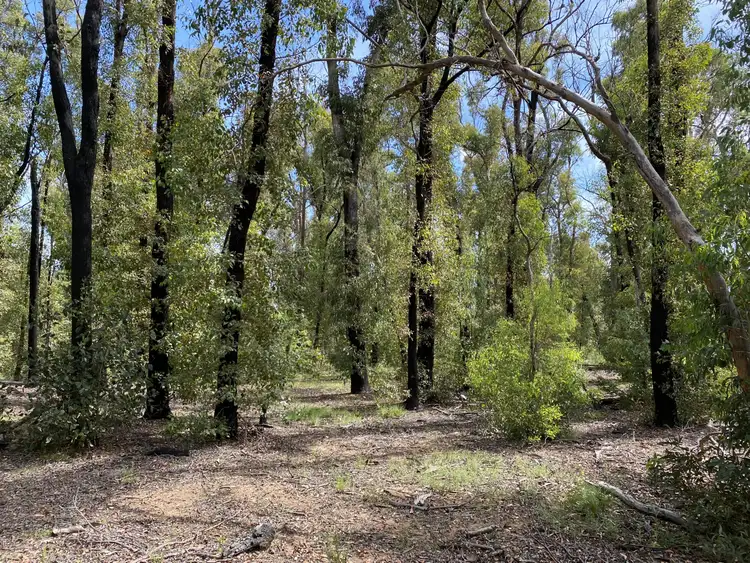 Fifth view of Homely rural property listing, 528 Hammonds Road, Reedy Flat VIC 3895