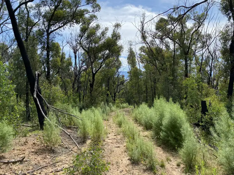 Sixth view of Homely rural property listing, 528 Hammonds Road, Reedy Flat VIC 3895