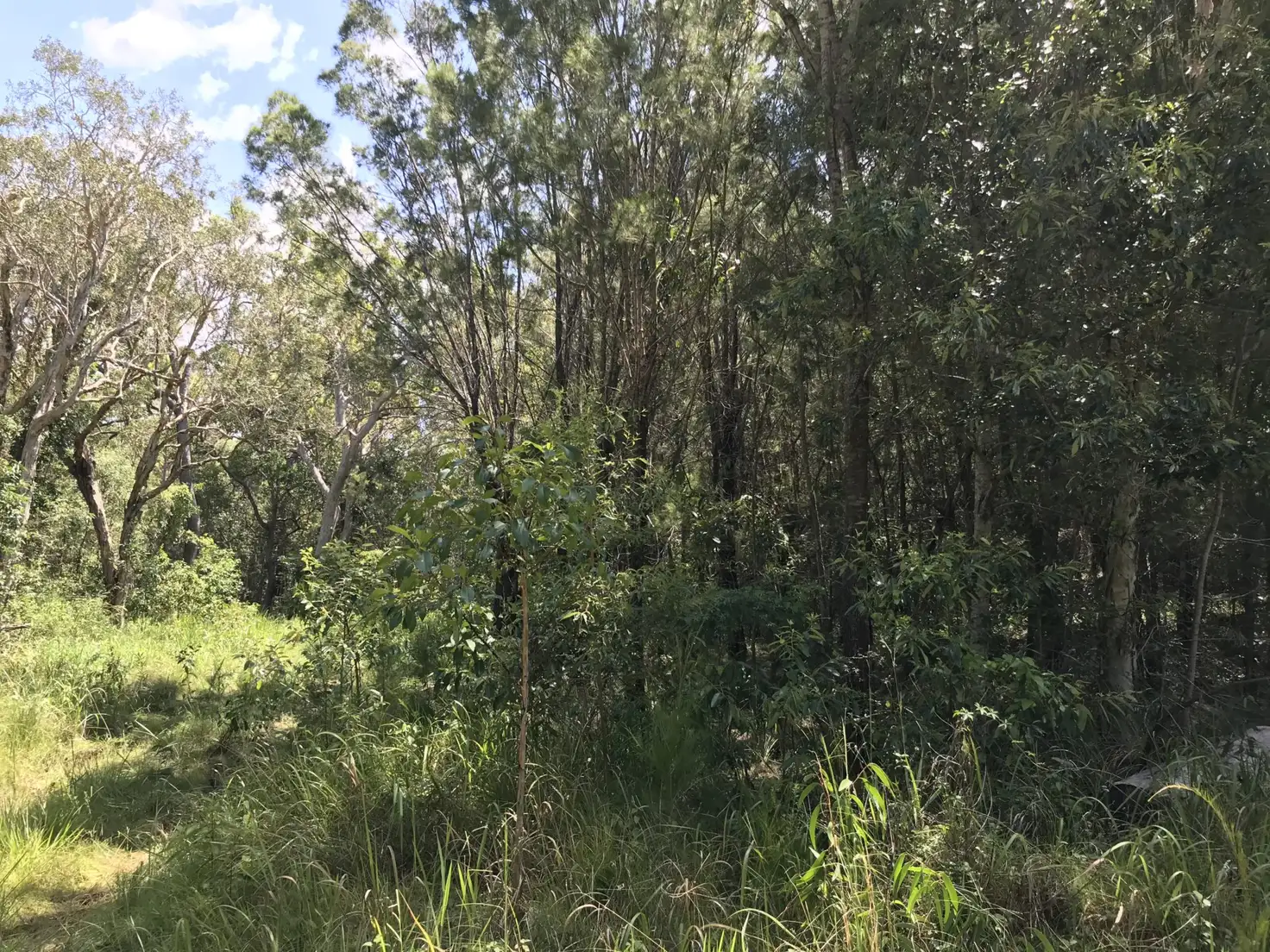 Main view of Homely land listing, 38 Wirralee Street, Macleay Island QLD 4184