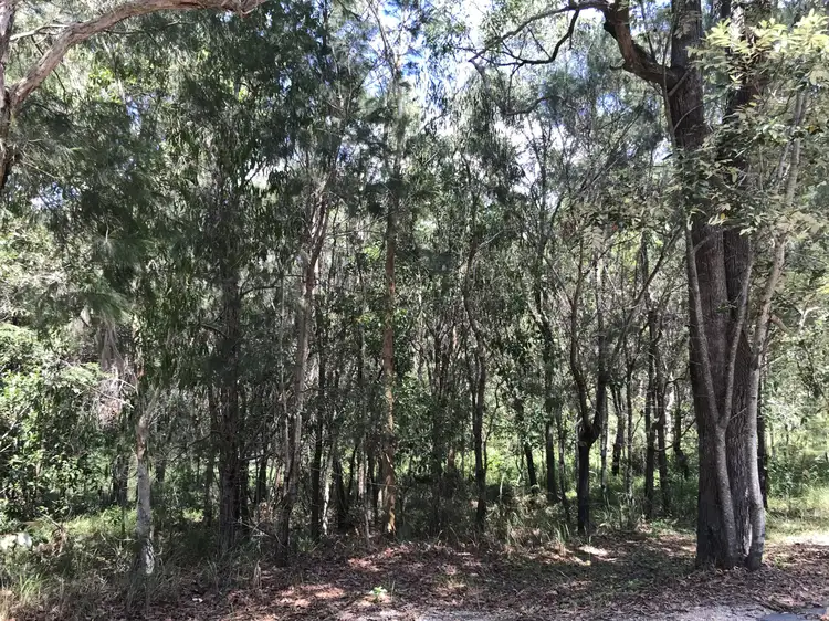 Third view of Homely land listing, 38 Wirralee Street, Macleay Island QLD 4184