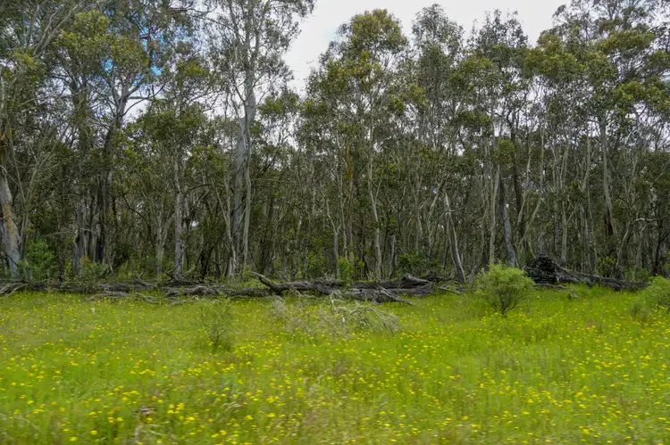 Fifth view of Homely land listing, Lot 4 Bradleys Drive, Tumbarumba NSW 2653