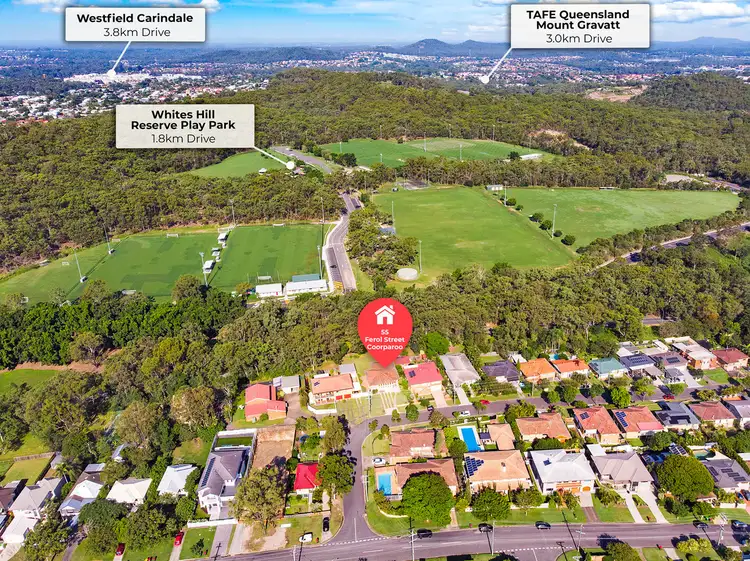 55 Ferol Street, Coorparoo QLD 4151