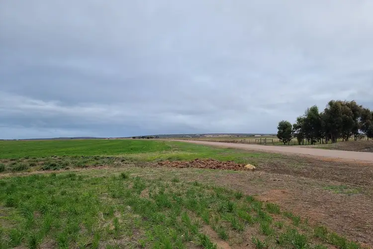 Sixth view of Homely rural property listing, 63 Verrucosa Parade, Hopetoun WA 6348