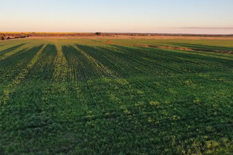 Seventh view of Homely rural property listing, 63 Verrucosa Parade, Hopetoun WA 6348