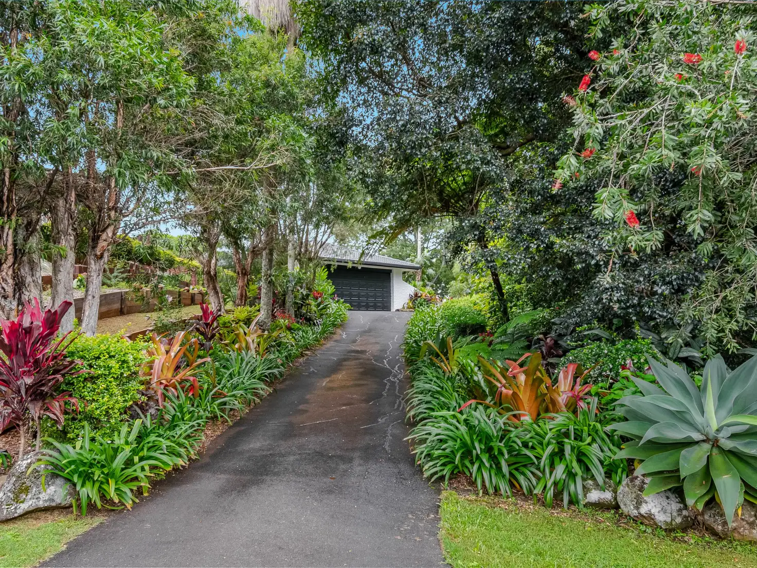 Main view of Homely house listing, 16 Joel Place, Goonellabah NSW 2480