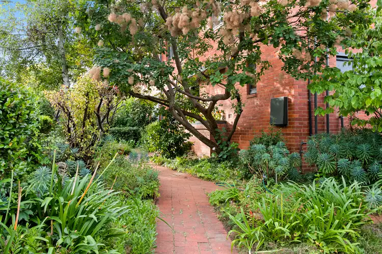 Second view of Homely semi-detached listing, 3 Vaughan Gardens, Narrabundah ACT 2604