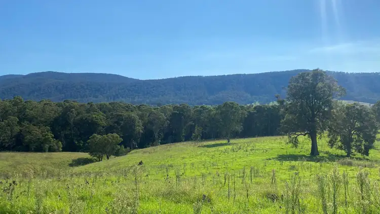 Second view of Homely rural property listing, Lot D 1089 Greendale Road, Bega NSW 2550