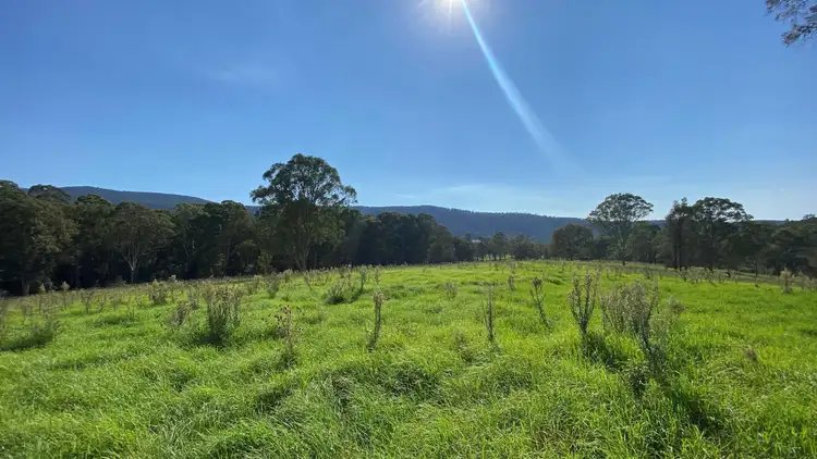 Sixth view of Homely rural property listing, Lot D 1089 Greendale Road, Bega NSW 2550
