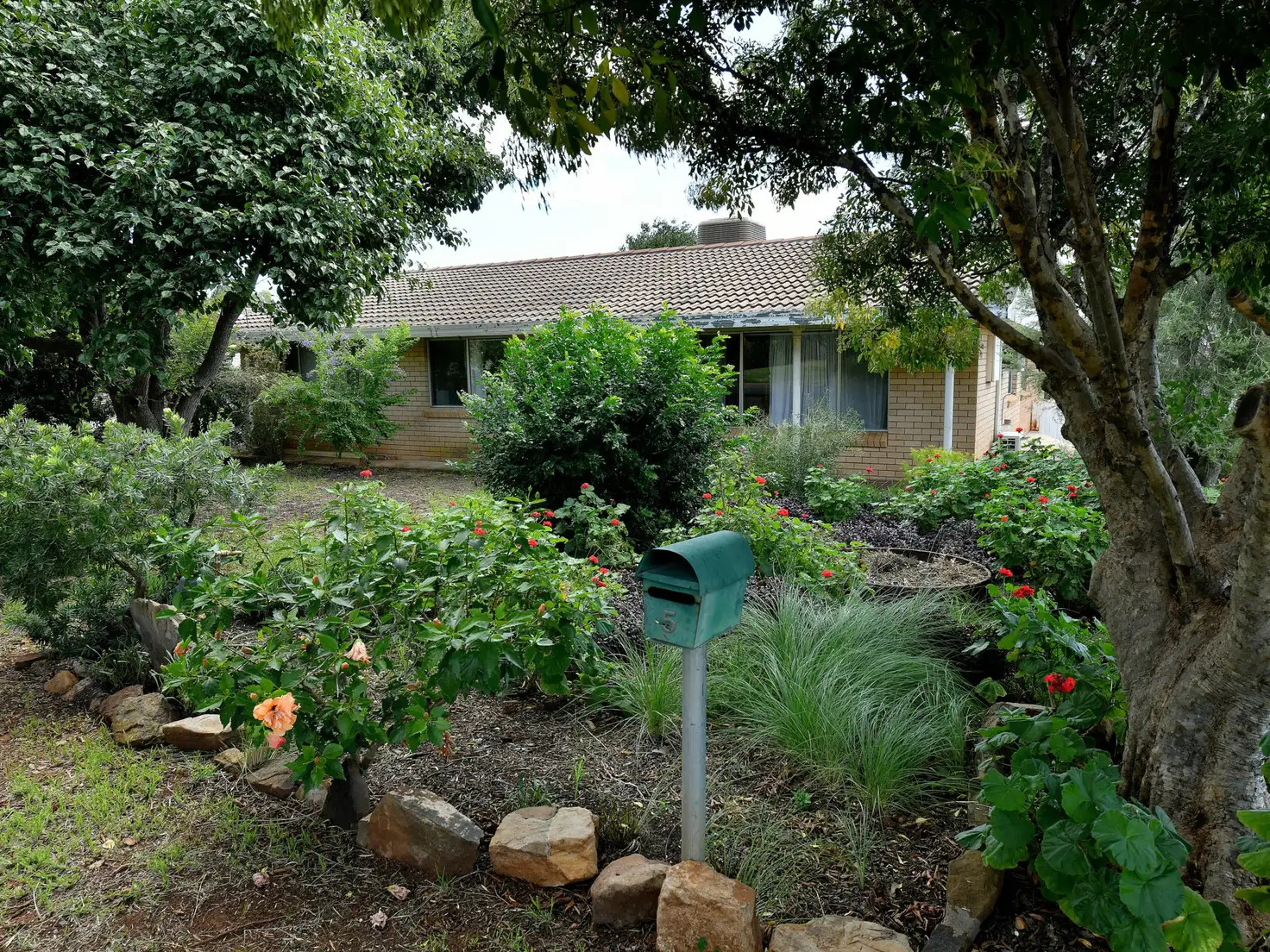 Main view of Homely house listing, 5 Pritchard Street, Gunnedah NSW 2380
