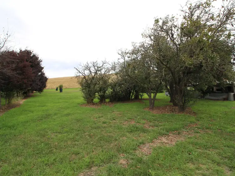 Main view of Homely land listing, 8 King Street, Benambra VIC 3900
