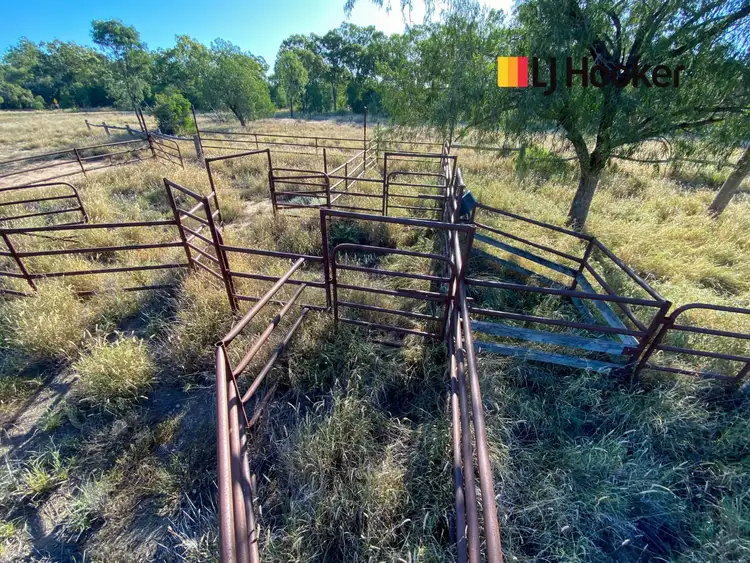 Second view of Homely rural property listing, 51 East Miscamble Street, Roma QLD 4455