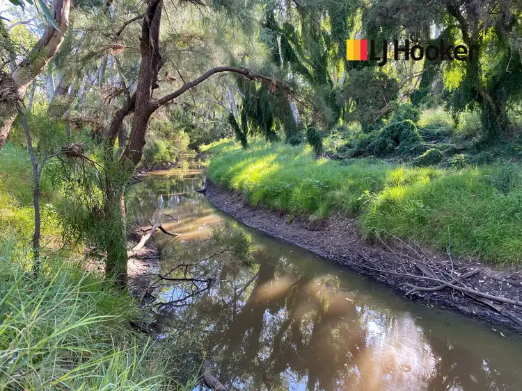 Seventh view of Homely rural property listing, 51 East Miscamble Street, Roma QLD 4455