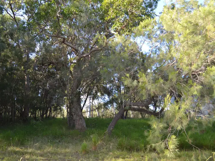 Seventh view of Homely land listing, 41 Wirralee street, Macleay Island QLD 4184