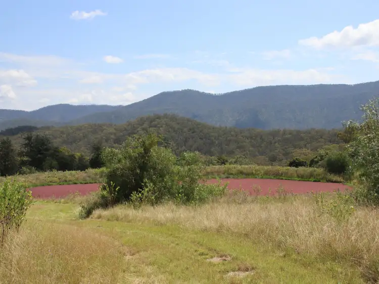 Fourth view of Homely rural property listing, Lot 4 Dollar Bill Drive, Yangan QLD 4371