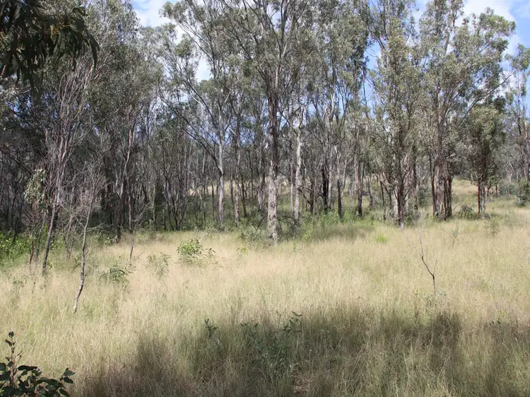 Sixth view of Homely rural property listing, Lot 4 Dollar Bill Drive, Yangan QLD 4371