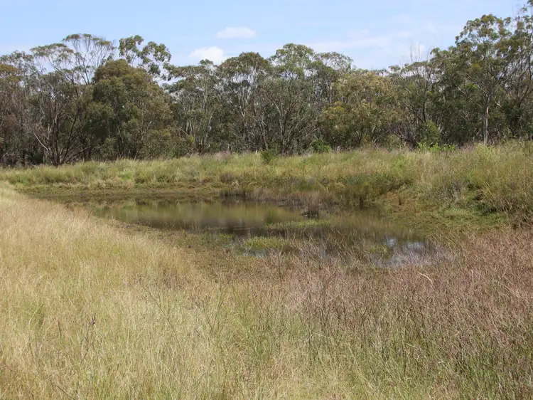 Seventh view of Homely rural property listing, Lot 4 Dollar Bill Drive, Yangan QLD 4371