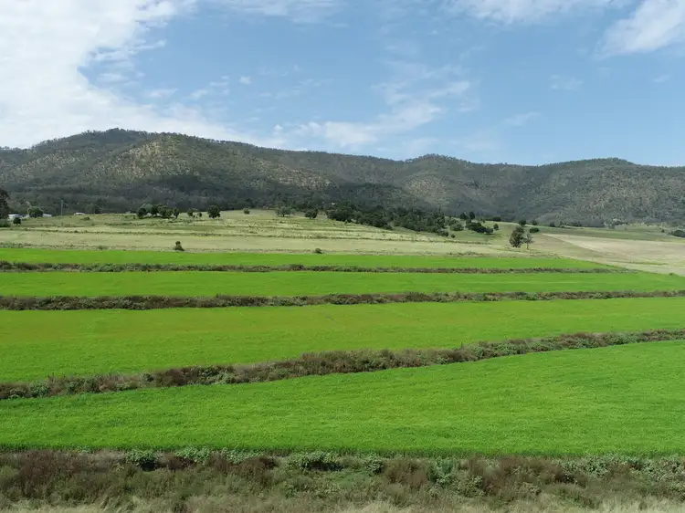 Fifth view of Homely rural property listing, 874 Top Swanfels Road, Yangan QLD 4371