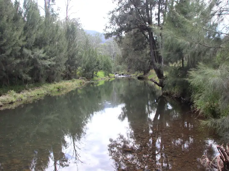 Seventh view of Homely rural property listing, 874 Top Swanfels Road, Yangan QLD 4371