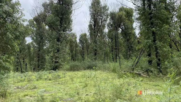 Fourth view of Homely land listing, 499 Goughs Road, Yowrie NSW 2550