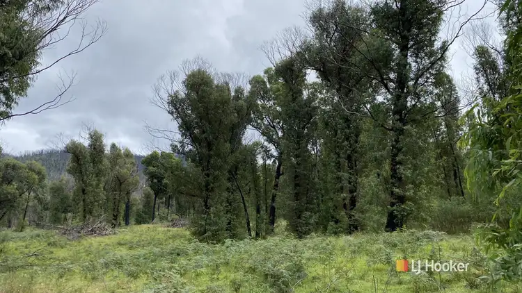 Sixth view of Homely land listing, 499 Goughs Road, Yowrie NSW 2550