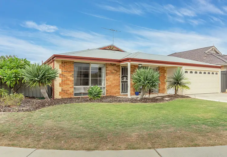 Main view of Homely house listing, 49 Kurrajong Boulevard, Banksia Grove WA 6031