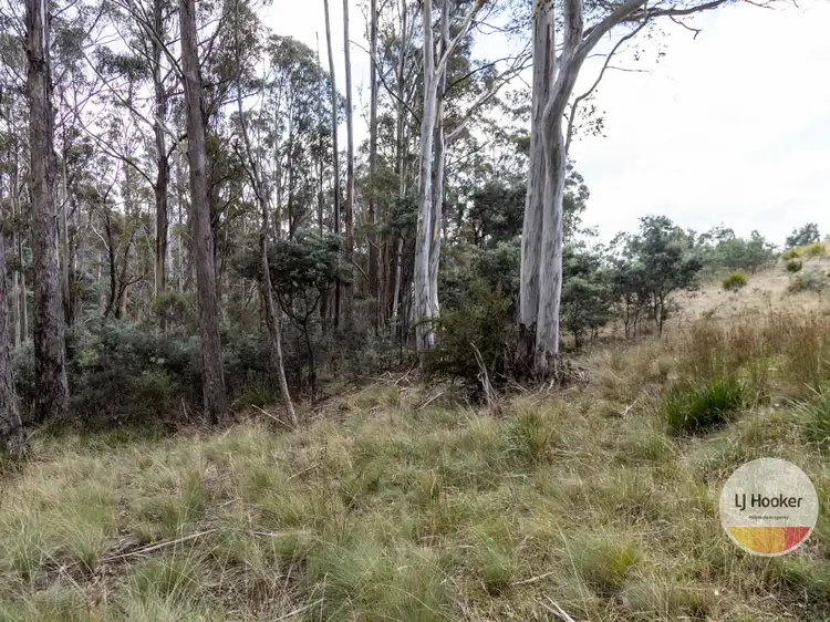 Fifth view of Homely land listing, 410 Springhill Bottom Road, Colebrook TAS 7027