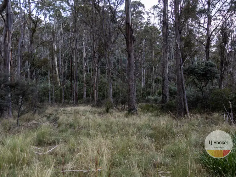 Sixth view of Homely land listing, 410 Springhill Bottom Road, Colebrook TAS 7027