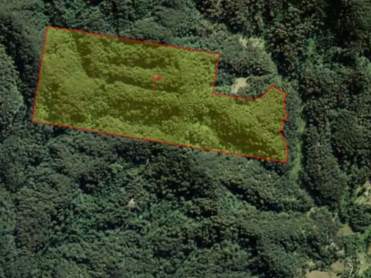 Main view of Homely land listing, 443 Koppin Yarratt Road, Upper Lansdowne NSW 2430
