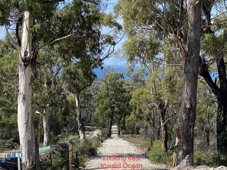 Fourth view of Homely land listing, 26754/1 Tasman Highway, Scamander TAS 7215